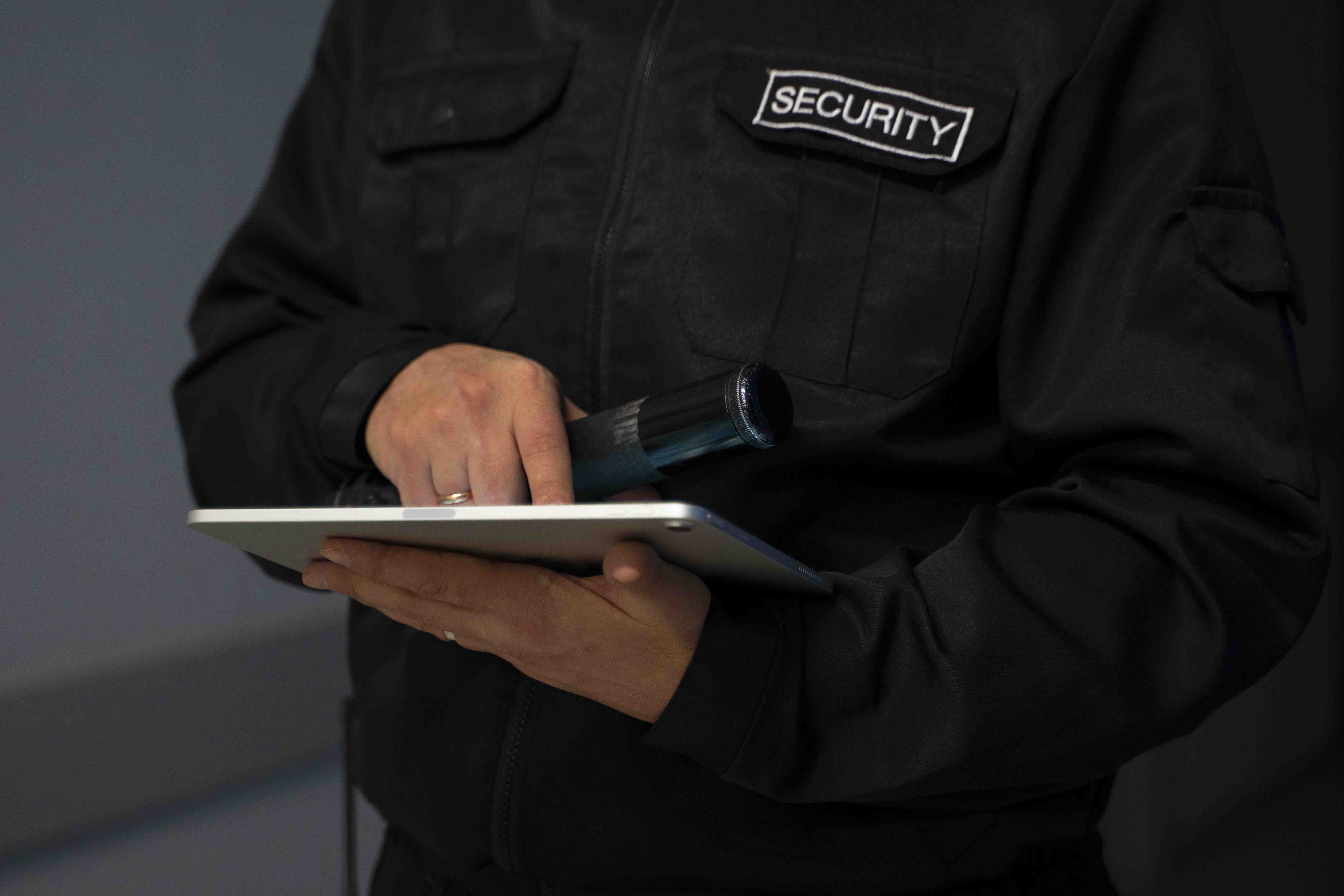 SeguridadVip