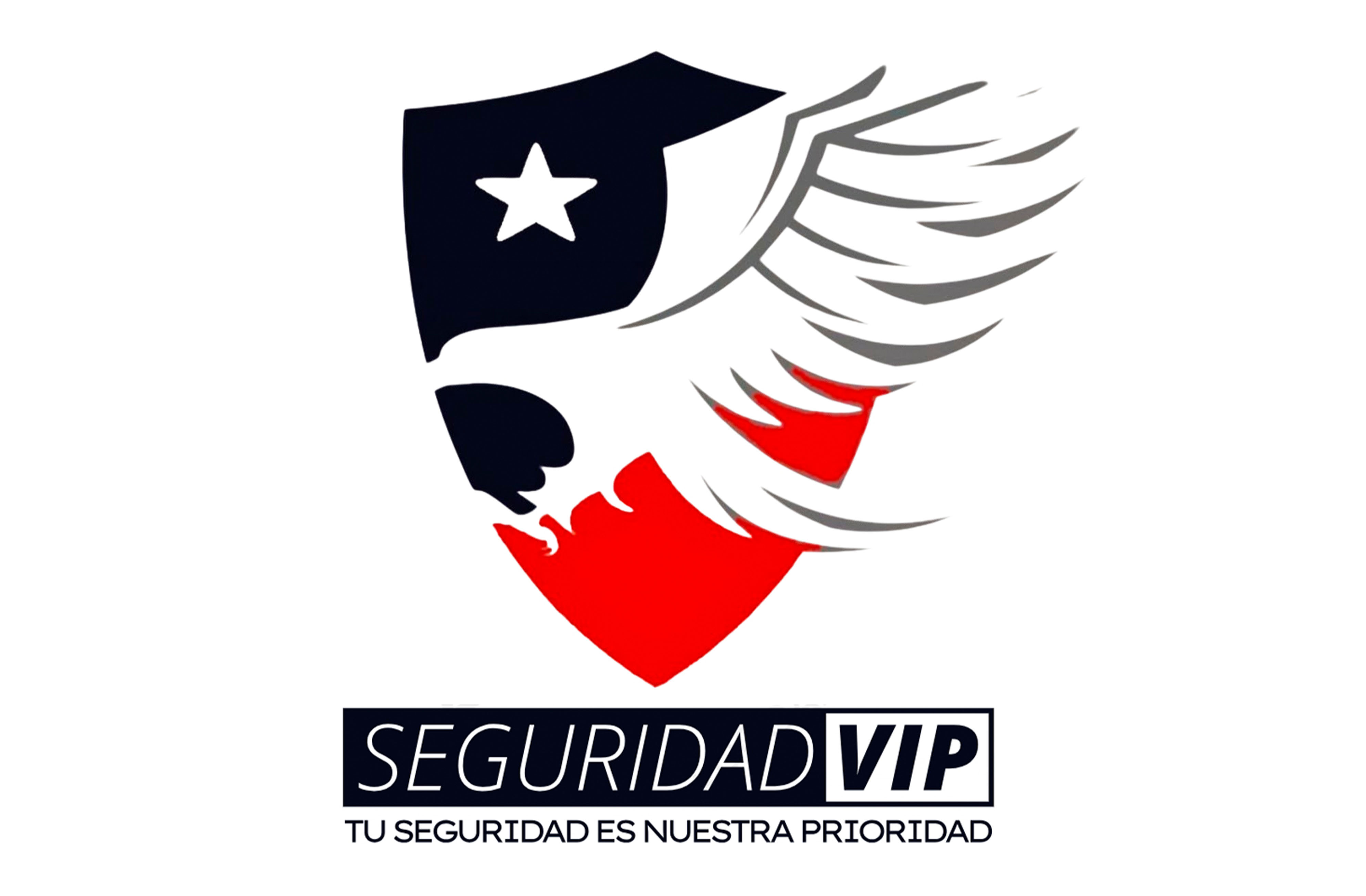 SeguridadVip