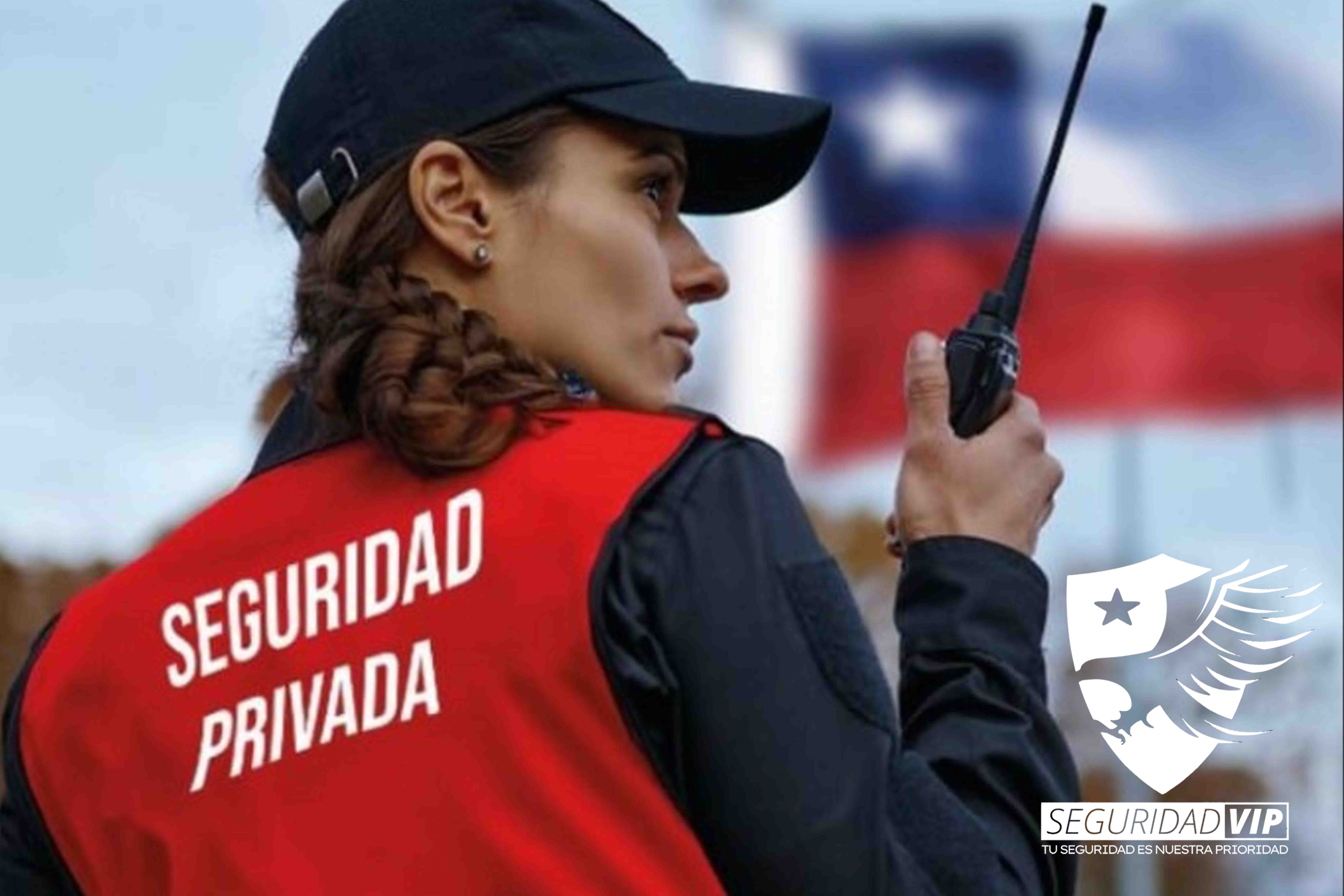 SeguridadVip